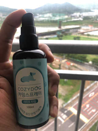 다솜다빈이아빠님이 올린 리뷰 사진 4