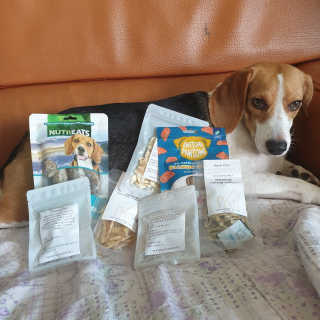 beaglelove님이 올린 리뷰 사진 2