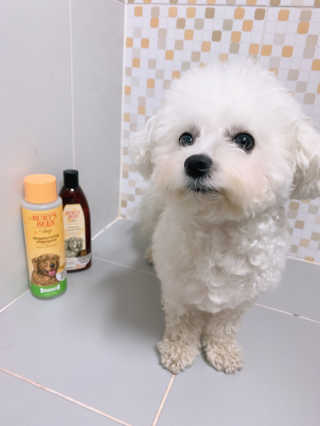 HyojeoungLim님이 올린 리뷰 사진 2