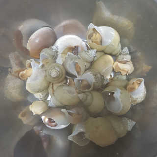 블루님이 올린 리뷰 사진 3