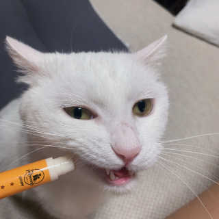 진진님이 올린 리뷰 사진 1