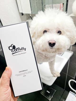 예민한 피부를 위한 코코몰리 All in one 자연유래 샴푸 — 5점을 준 리뷰어가 2020년 11월 올린 사용 사진