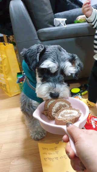 배엘세바님이 올린 리뷰 사진 3