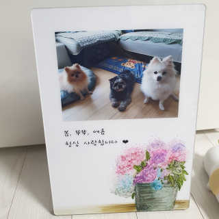 보미누나님이 올린 리뷰 사진 1