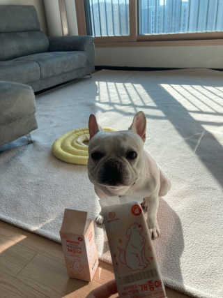 My Pet Care 모발과 모질 피부건강에 개좋아 — 4.5점을 준 리뷰어가 2020년 12월 올린 사용 사진