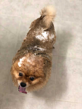 Juu’s님이 올린 리뷰 사진 2