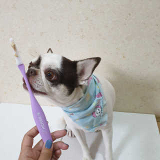 mini unni님이 올린 리뷰 사진 3