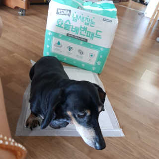 라미라미님이 올린 리뷰 사진 1