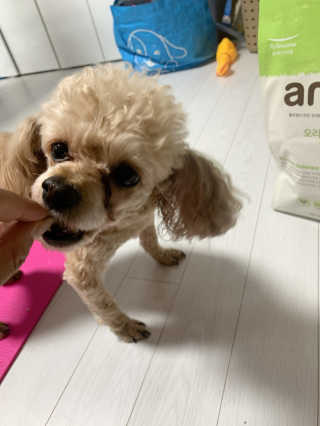 랑이님이 올린 리뷰 사진 1