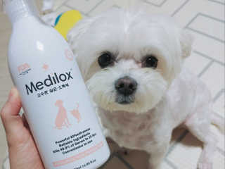 Medilox 메디록스 살균소독제_3종 500ml [택 1] — 5점을 준 리뷰어가 2020년 8월 올린 사용 사진