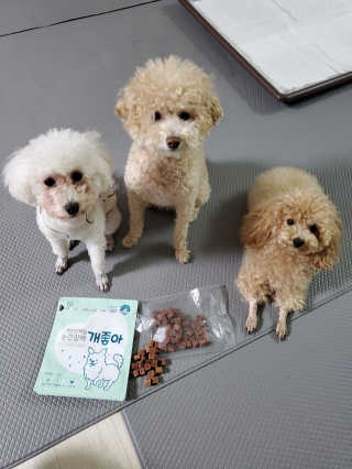 My Pet Care 천연단백질 눈건강에 개좋아 — 5점을 준 리뷰어가 2020년 11월 올린 사용 사진