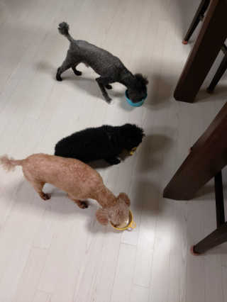 몽이님이 올린 리뷰 사진 3