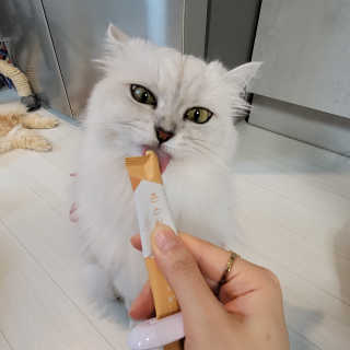 냥냥러버님이 올린 리뷰 사진 4