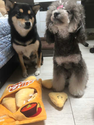 오리님이 올린 리뷰 사진 4