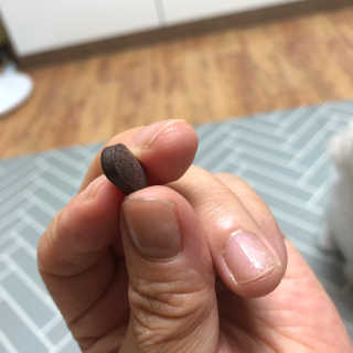 조은약초 꿀잠큐어 제주 감태추출물 감태정 600mg — 4.5점을 준 리뷰어가 2020년 5월 올린 사용 사진