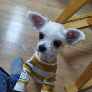 나린마마님이 올린 리뷰 사진 2
