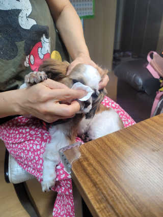 서서자매님이 올린 리뷰 사진 4