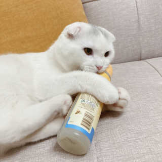 혜무룩님이 올린 리뷰 사진 1