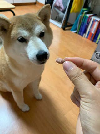 라미라미님이 올린 리뷰 사진 4