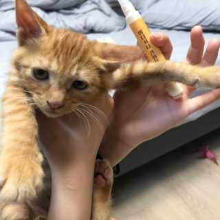 김대준님이 올린 리뷰 사진 2