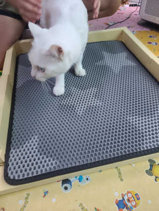 요니잉님이 올린 리뷰 사진 4