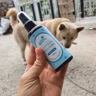 코지독 카밍스프레이 100ml — 5점을 준 리뷰어가 2020년 4월 올린 사용 사진