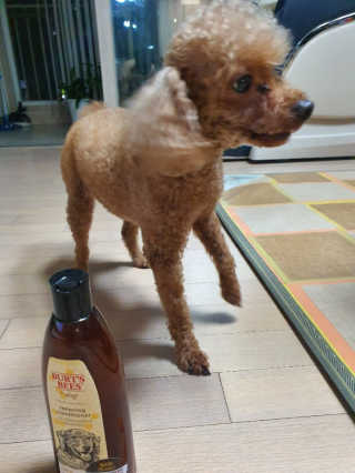 루시님이 올린 리뷰 사진 3