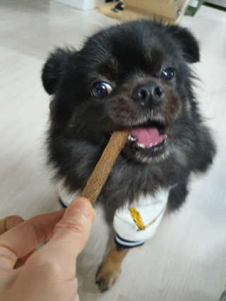 My Pet Care 천연단백질 치아건강에 개좋아 — 5점을 준 리뷰어가 2020년 11월 올린 사용 사진