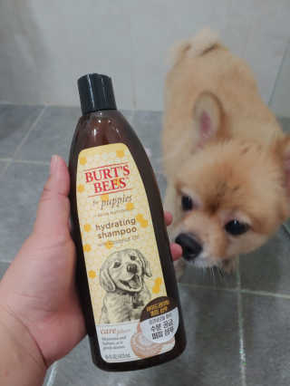 연떠님이 올린 리뷰 사진 2