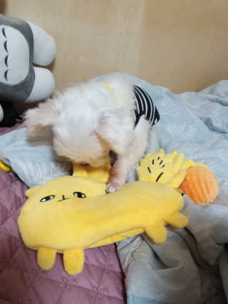 세유니님이 올린 리뷰 사진 1