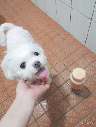 두부님이 올린 리뷰 사진 4