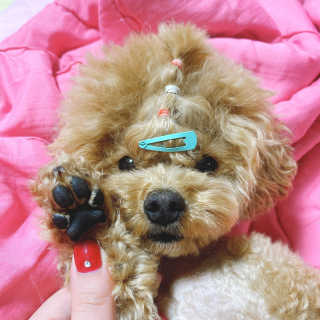 소잉두잉님이 올린 리뷰 사진 3