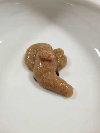 오드리고딩님이 올린 리뷰 사진 3