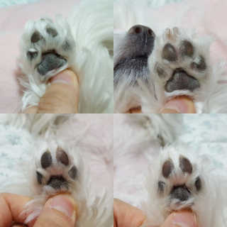 지은님이 올린 리뷰 사진 3