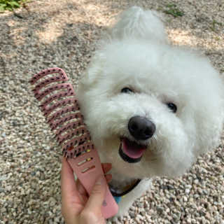 쏨님이 올린 리뷰 사진 1