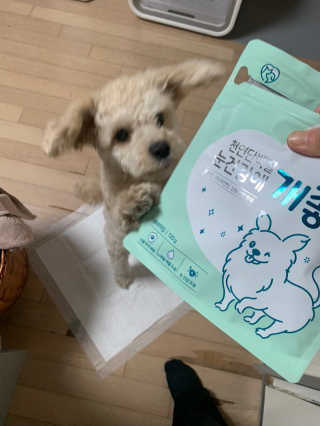 My Pet Care 천연단백질 눈건강에 개좋아 — 5점을 준 리뷰어가 2020년 11월 올린 사용 사진
