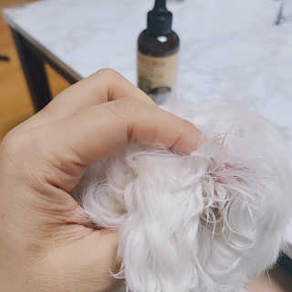 쮸디님이 올린 리뷰 사진 3