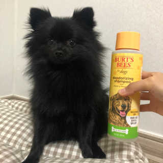 Julie님이 올린 리뷰 사진 1
