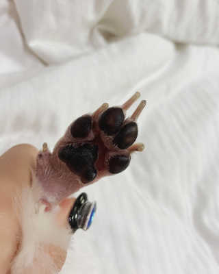 라라님이 올린 리뷰 사진 3