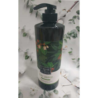 르퀼라야 스칼프 샴푸 810ml [가드니아/포레스트] — 5점을 준 리뷰어가 2020년 7월 올린 사용 사진