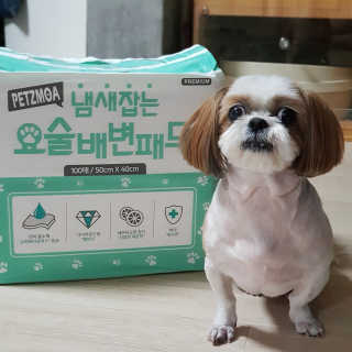 멍자언니님이 올린 리뷰 사진 1