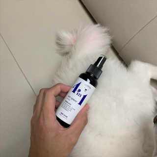 강아지스토리 포인원 모이스처 미스트 100ml — 5점을 준 리뷰어가 2020년 6월 올린 사용 사진