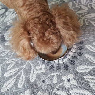 고유라님이 올린 리뷰 사진 2