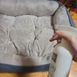 SP9 스프레이형 프리미엄 살균소독제 500ml+100ml — 5점을 준 리뷰어가 2020년 11월 올린 사용 사진