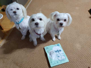 My Pet Care 천연단백질 눈건강에 개좋아 — 3.5점을 준 리뷰어가 2020년 12월 올린 사용 사진