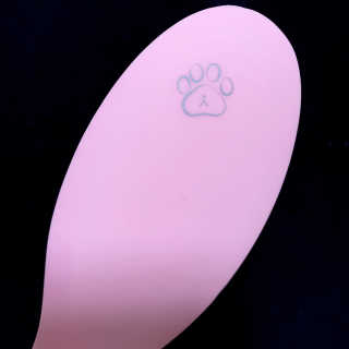 아이캔디 레인보우 볼륨S  브러쉬 for PET 미디엄 — 5점을 준 리뷰어가 2020년 11월 올린 사용 사진