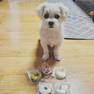 쮸디님이 올린 리뷰 사진 1