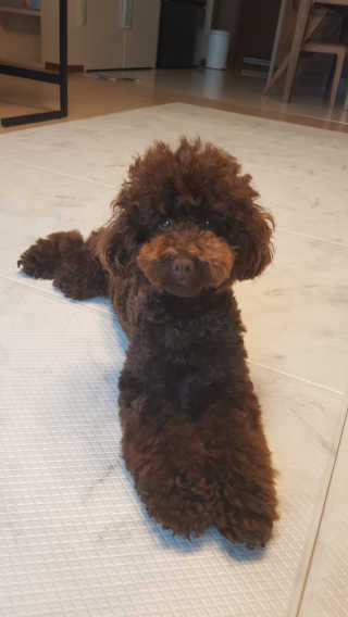 콜라네님이 올린 리뷰 사진 3