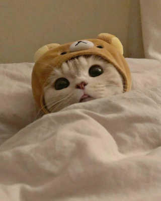 이수빈님이 올린 리뷰 사진 3