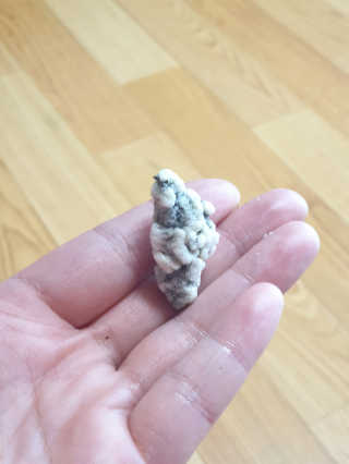 수인윤진맘님이 올린 리뷰 사진 2